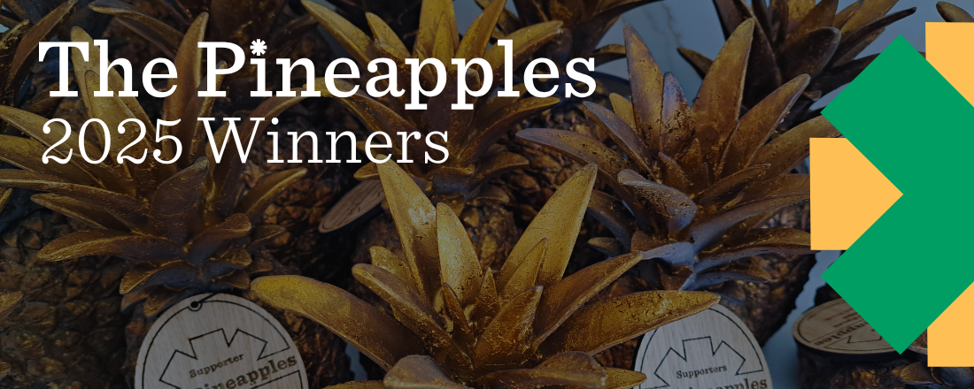 Winners for The Pineapples 2025 awards announced