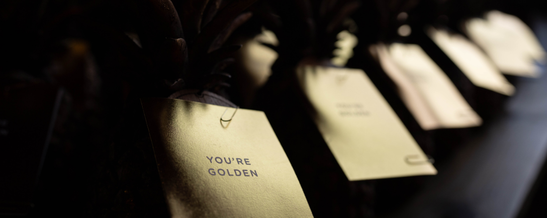 Judges announced for The Pineapples awards for place 2026