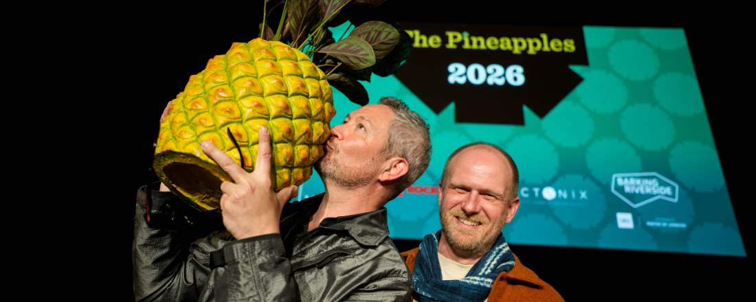 Winners for the Pineapples awards for place 2026 announced